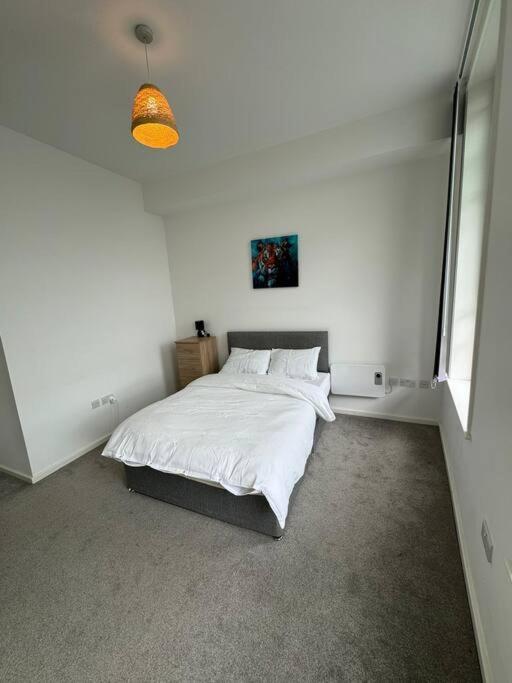 Spacious Flat In Sheffield City Center Gs304 Eksteriør bilde